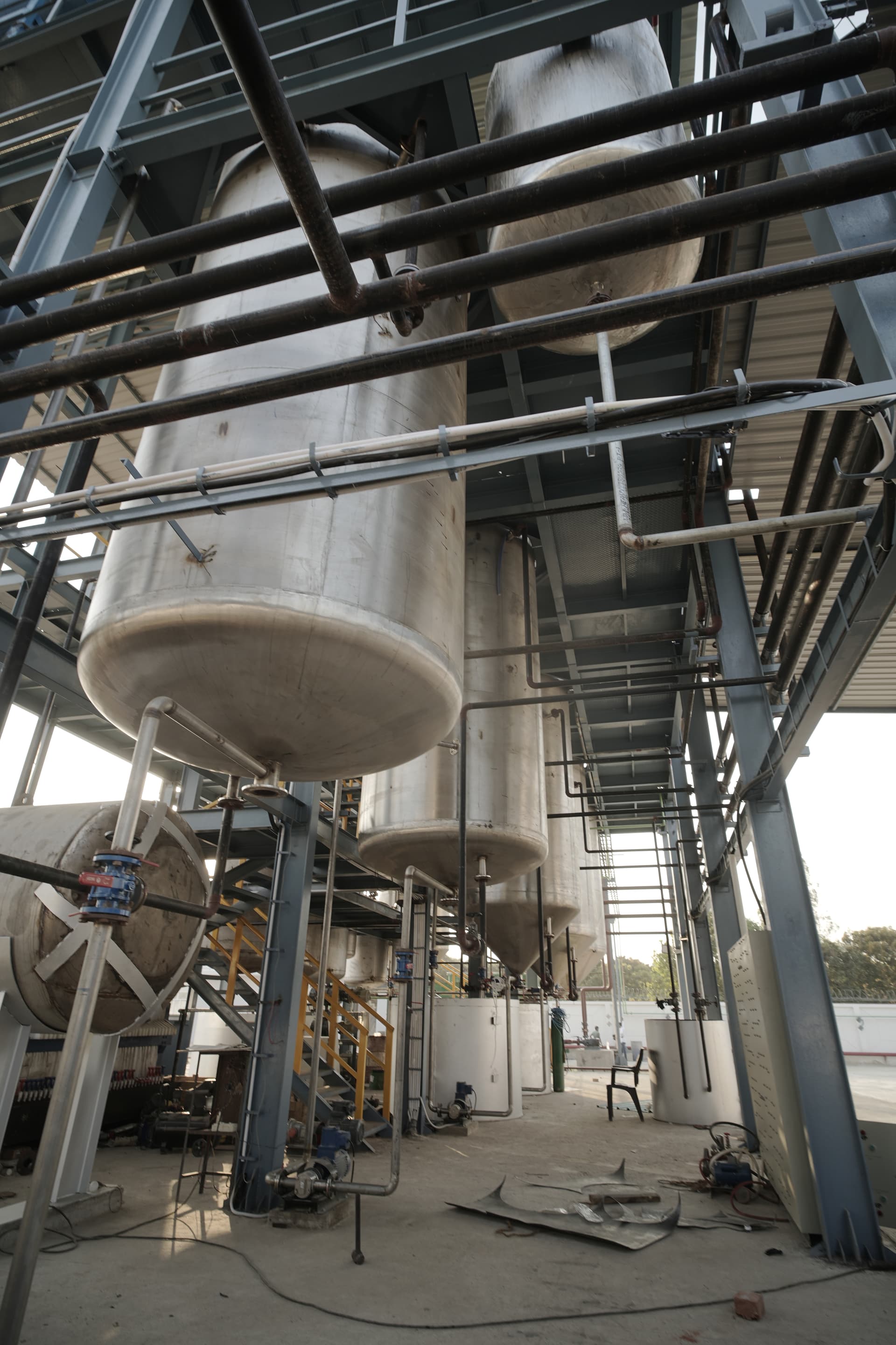 Biodiesel