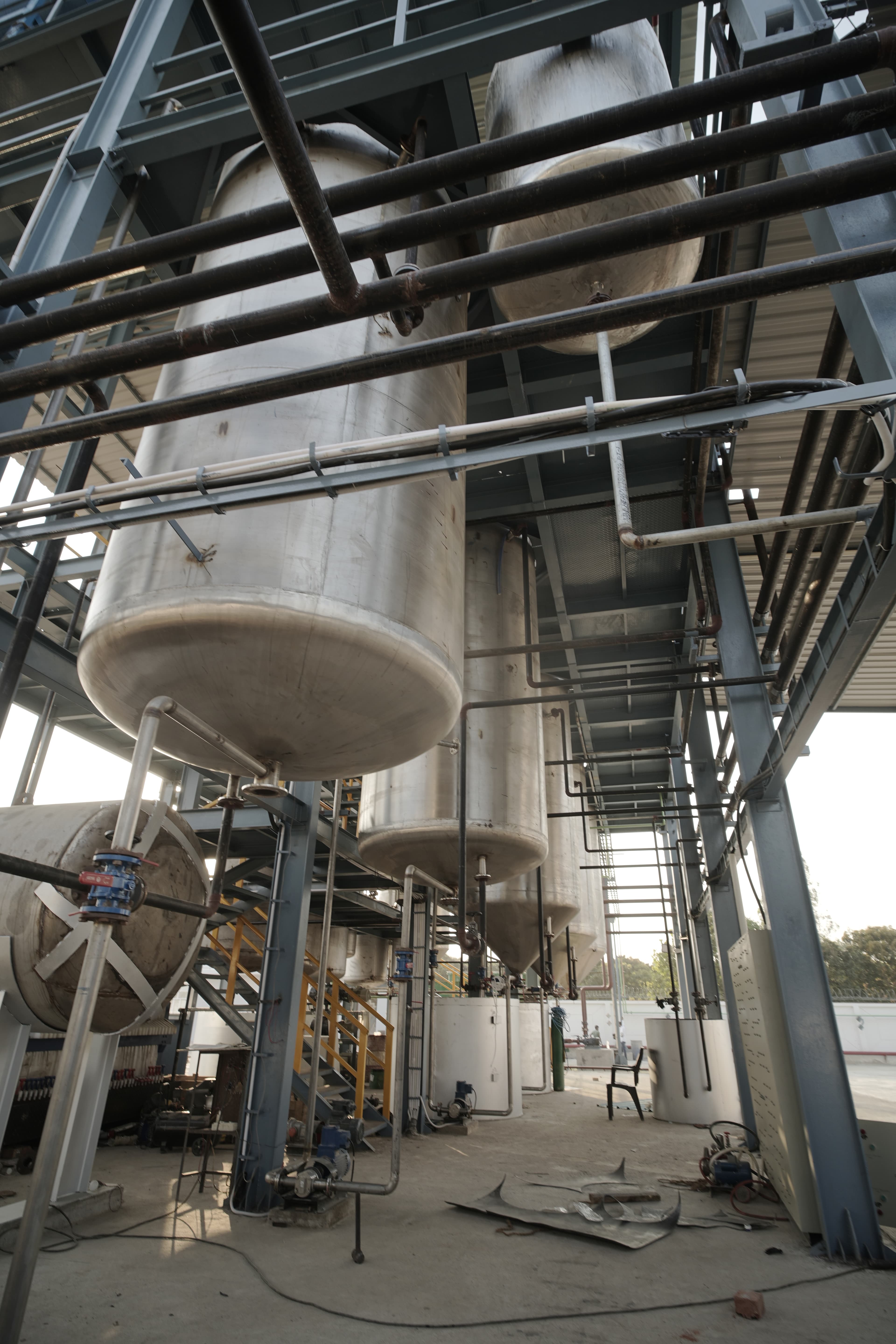 Biodiesel